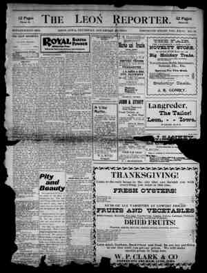 The Leon Reporter Newspaper November 29, 1900 kapağı