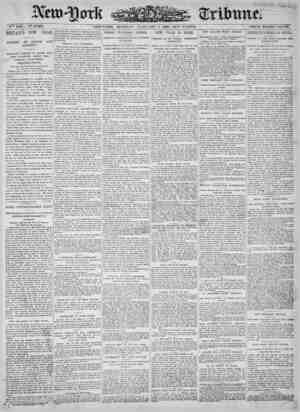 New York Tribune Newspaper January 1, 1900 kapağı