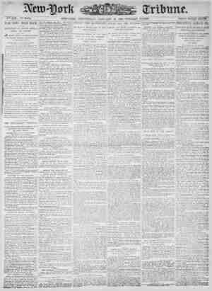 New York Tribune Newspaper January 10, 1900 kapağı