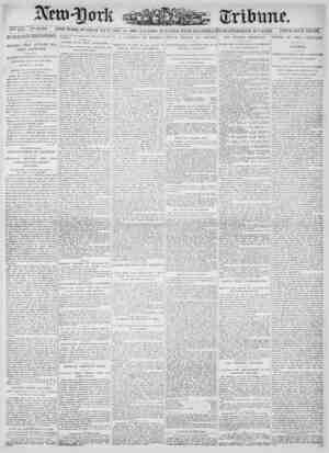 New York Tribune Newspaper January 14, 1900 kapağı