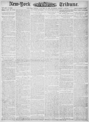 New York Tribune Newspaper January 19, 1900 kapağı