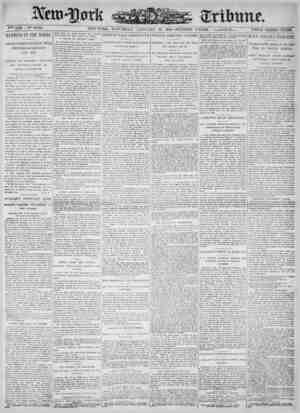 New York Tribune Newspaper January 20, 1900 kapağı