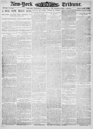 New York Tribune Newspaper January 24, 1900 kapağı