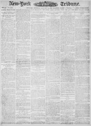 New York Tribune Newspaper January 25, 1900 kapağı