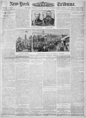 New York Tribune Newspaper January 30, 1900 kapağı