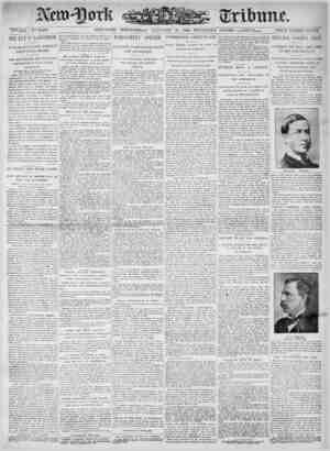 New York Tribune Newspaper January 31, 1900 kapağı