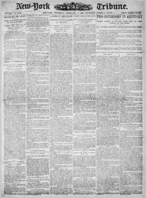 New York Tribune Newspaper February 1, 1900 kapağı