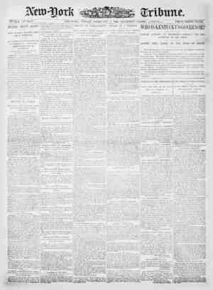 New York Tribune Newspaper February 2, 1900 kapağı