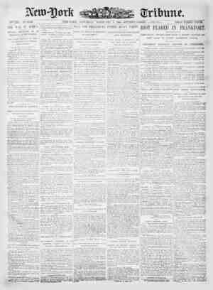 New York Tribune Newspaper February 3, 1900 kapağı