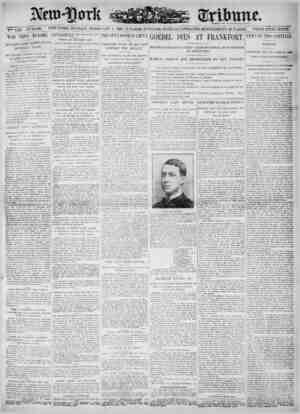 New York Tribune Newspaper February 4, 1900 kapağı