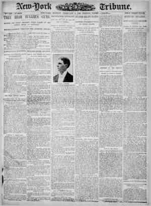 New York Tribune Newspaper February 5, 1900 kapağı