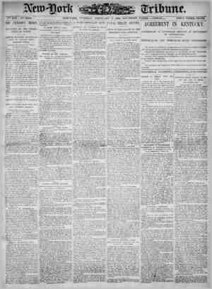 New York Tribune Newspaper February 6, 1900 kapağı