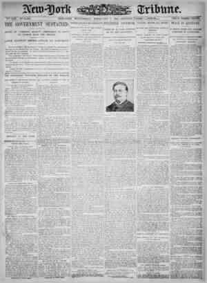 New York Tribune Newspaper February 7, 1900 kapağı