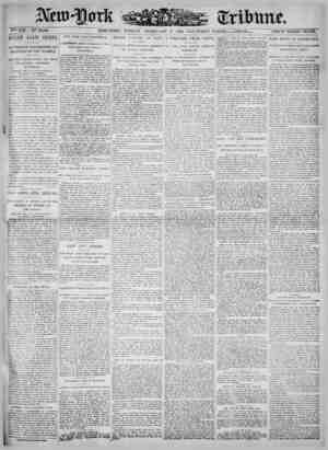 New York Tribune Newspaper February 9, 1900 kapağı
