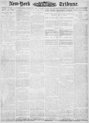 New York Tribune Newspaper February 11, 1900 kapağı