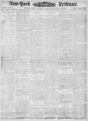 New York Tribune Newspaper February 12, 1900 kapağı