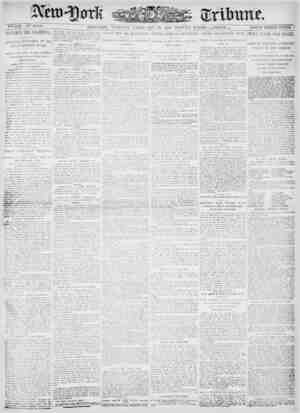 New York Tribune Newspaper February 13, 1900 kapağı