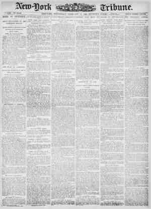 New York Tribune Newspaper February 14, 1900 kapağı