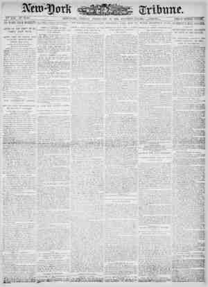 New York Tribune Newspaper February 16, 1900 kapağı