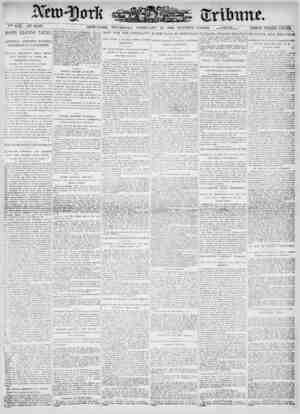 New York Tribune Newspaper February 22, 1900 kapağı