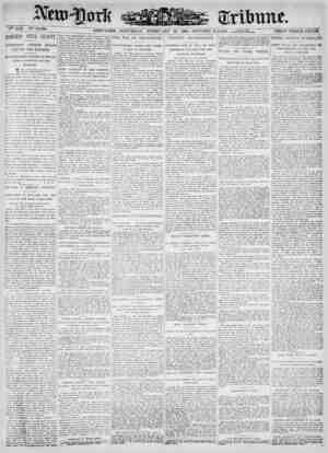 New York Tribune Newspaper February 24, 1900 kapağı