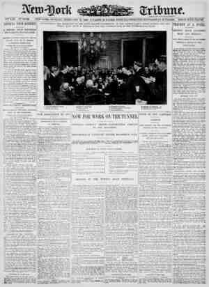 New York Tribune Newspaper February 25, 1900 kapağı