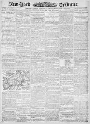 New York Tribune Newspaper February 27, 1900 kapağı