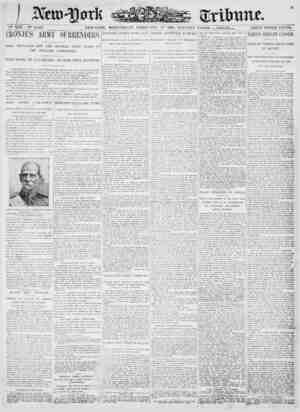 New York Tribune Newspaper February 28, 1900 kapağı