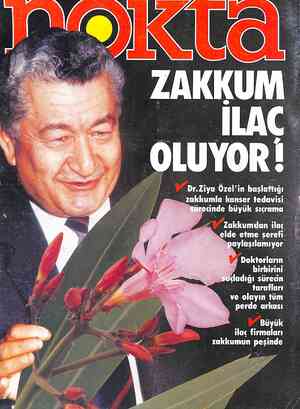 Nokta sayfa 1