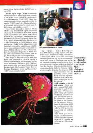  panya izliyor. İngiltere'de ise AIDS'li hasta sa- yısı 3.798. Sorun açlık değil AIDS Günümüzde AIDS'in etkisini en ürkütücü
