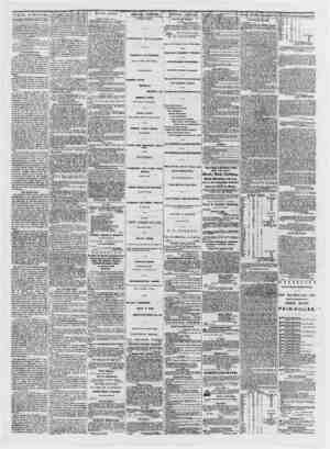  THE PRESS. WEDNESDAY MORNING,MAY 14, 1873. Every re.-ular attache of tho Press is furnished wliU a card certificate...