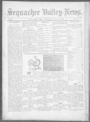 Sequachee Valley News Newspaper November 5, 1896 kapağı