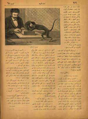 Sayfa 16