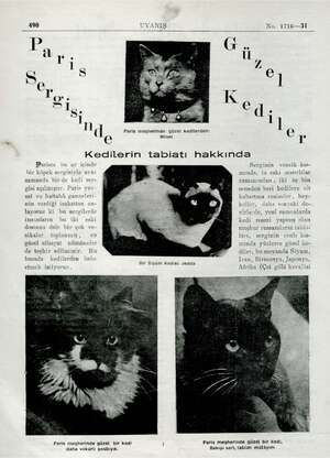  490 UYANIŞ No. 1716—31 Gru ü e i l ( j Paris meşherinde güzel kedilerden: © e Minet / r Kedilerin tabiatı hakkında Pariste bu