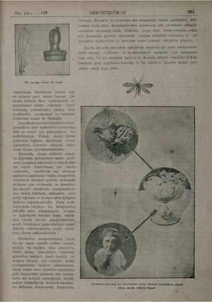    1814 — 129 Bir amziğe künan iki sinek Sineklerin imhası için henüz bunlari yu murta halinde iken mahvetmek ve yumurtaları
