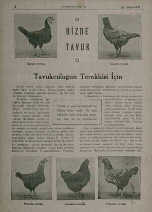  e “— e 8 SERVETİFÜNUN NO. 1816—İ3İ İspanya tavuğu İspanya tavuğu Tavukculuğun Terakkisi İçin Tavuk sergisi açıldı, kapandı,