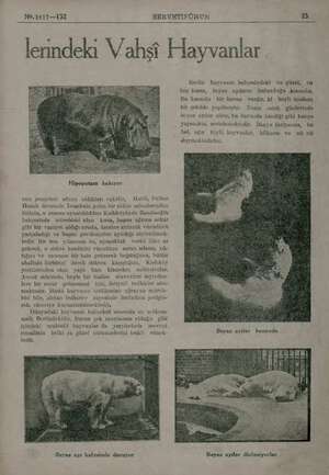 No.1817—132 SERVETİFÜNUN 25 lerindeki Vahşi Hayvanlar Hipopotam bakıyor onu pençeleri nltına aldıkları vakidir. Hattâ, sultan
