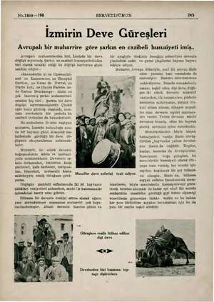  No.1883—198 SERVETİFÜNUN 245 İzmirin Deve Güreşleri Avrupalı bir muharrire göre şarkın en cazibeli hususiyeti imiş.. Avrupalı