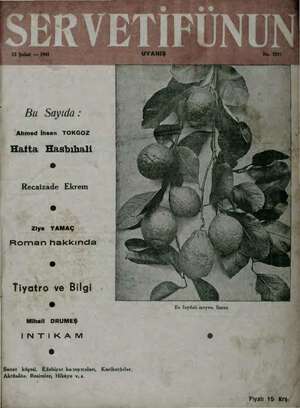 Servetifunun (Uyanış) Dergisi 13 Şubat 1941 kapağı