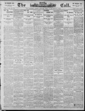 The Morning Call (San Francisco) Newspaper 20 Nisan 1890 kapağı