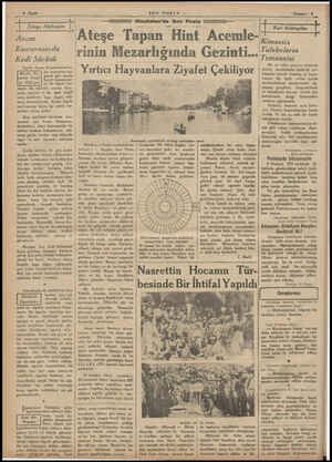  6 Sıyfı ı Dünya Hâdiseleri l AÂAvam Kamarasında Kedi Sürüsü İngiliz Avam Kamarasının ka- Meclis Ka- | dın azasından biri Ş ,