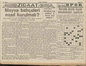  SON POSTA Sayfa 37/1 E VMeyva bahçeleri nasıl kurulmalı? İklim, toprak, bahçenin büyüklüğünün tayini, ağaçlar arasında...