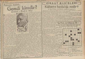           e ez YE ŞE BŞ IZZİRAAT BAHİSLER Külleme hastalığı nedir? | “Son Posta,, nın ziraatcı muharriri yazıyor |...