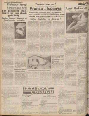  | ( İ ğğ Son | İ t 4—30N TELGRAF — 14 Hariran 1938 Profesörün köpeği karant inede kaldı tereye bir senelerde ingii- çok köpek