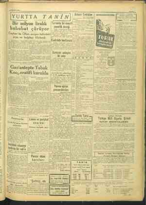    13 ŞUBAT 1945 YURTTA TANİN Bir milyon liralık hububat çürüyor Ceyhan'da Ofisin sergen arpa ve buğdayı filizlendi- olduğunu