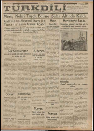 Türk Dili Gazetesi 30 Ocak 1935 kapağı