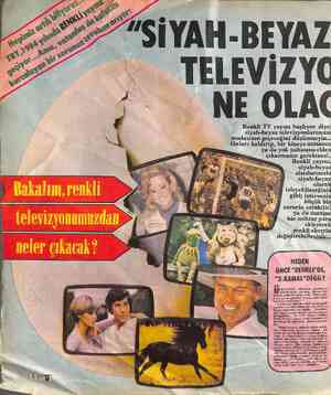  TElEvıZYG_ E OLA Renkli TV yayını başlıyor diye: siyah-beyaz televızyonlarınızın modasının geçeceğini düşünmeyin... Onları
