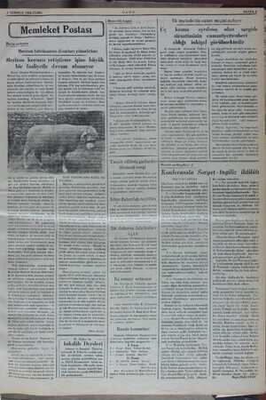    3 TEMMUZ 1936 CUMA Bursa mektubu Merinos fabrikasının divarları yükselirken Merinos koyunu yetiştirme işine büyük bir...