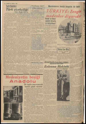  6 — VAKIT 21 ŞUBAT 1939 Tarih Sayfaları; Avusturya nasıl Memleketimizin Jeolojik bünyesine bir bakış elden çıkmış! Türk...