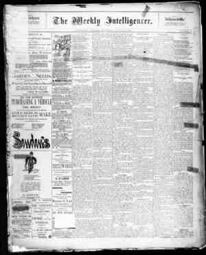 The Weekly Intelligencer Newspaper March 28, 1891 kapağı
